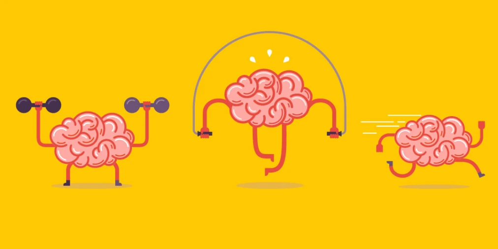 Brain Training illustration