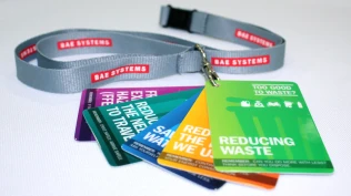 BAE Systems 'Too good to waste' Campaign